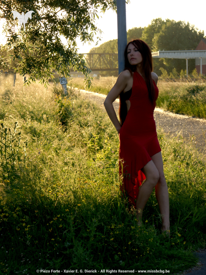 Miss BCBG Elise H, par Xavier E. G. Dierick